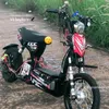 siu.nhn.en7981