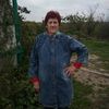 user3436011755309