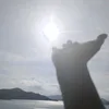 flying7016