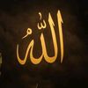 🌟Only Quran🌟