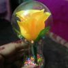 fatema.khatun916