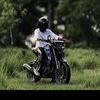 mdaasik2691