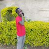 tins3493