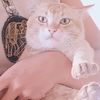 kitty.lay735