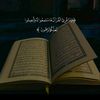 tiktok.comuser52968