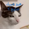 aliroblox332