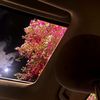 ramo_011.abdul