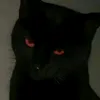 𝙰𝚣𝚊𝚙𝚑𝚘𝚛𝚂𝟸