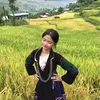 ging.th.dung748