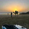 smily.surfing