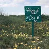 مـحـمـد، 🤍