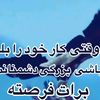 user48814113845766