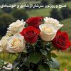 user114510212