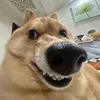 _tuna.3007