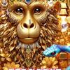 user14902024113353