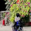 eraz.hossain