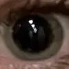 mollyzhh