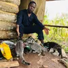 Save_One_Mission🐈