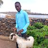 abdulwasamohammed4