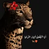 user63290207