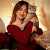 lana62372