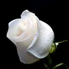 user25kkdild