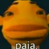 jadingo2