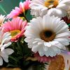 chouchita0722