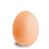 eegg_oficial