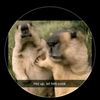 mazen.abdelhamid1