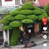 nguyenloc3394