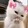 mikinaaaaaaaaaaaaaa