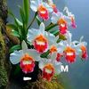 user6109815518445
