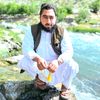sayeed7067