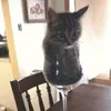 cutechann_