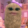 sukamainroblox27