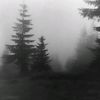 not_available815