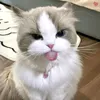 dgthiquynh