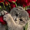 nour._.x5