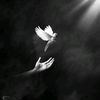 forbidden.love.123_