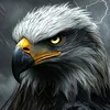 balen_gardi1234