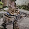fatma.waty.10
