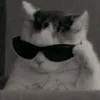 aaaaaaa....ol1