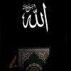 user3485018502447