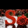 user6196857792811