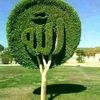 khadar.caano