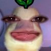 yazchn_0.0