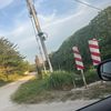 thisuserfailallthings