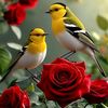 ad.prince874