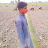 ahmadaliumrani3